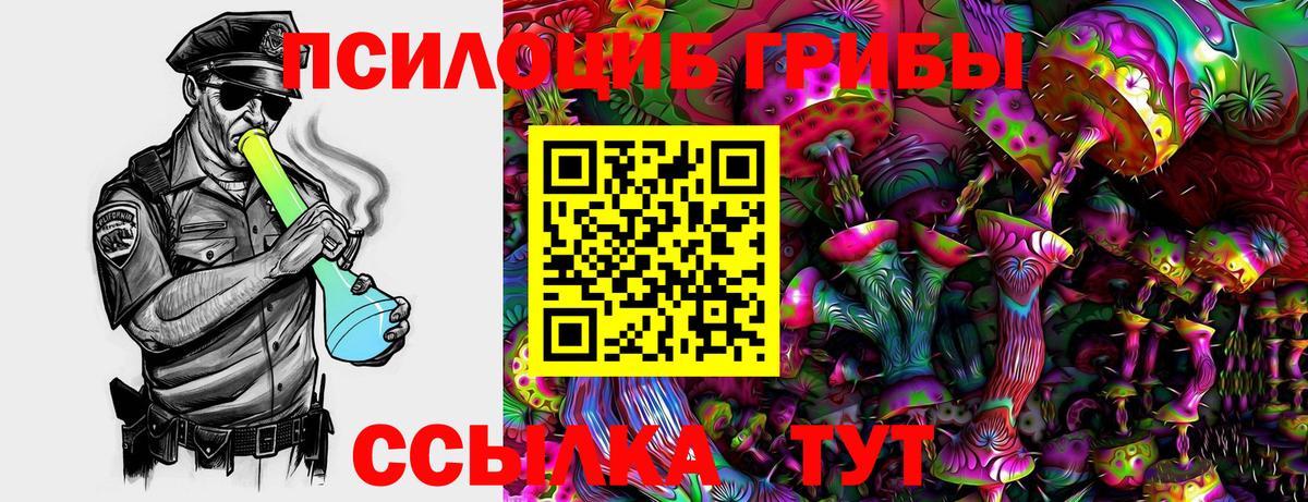 Псилоцибиновые грибы ЛСД Чернушка