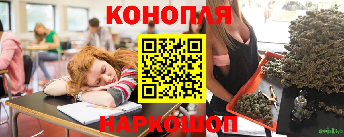 Канабис семена Чернушка