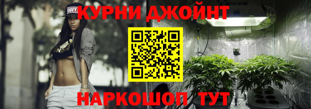 Чернушка  Каннабис планчик  МАРИХУАНА марихуана  Канабис сатива  Каннабис MAZAR  Вход с VPN 